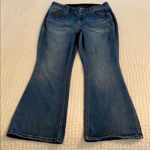 Lane Bryant Jeans